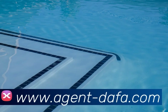 大发彩票平台生态图