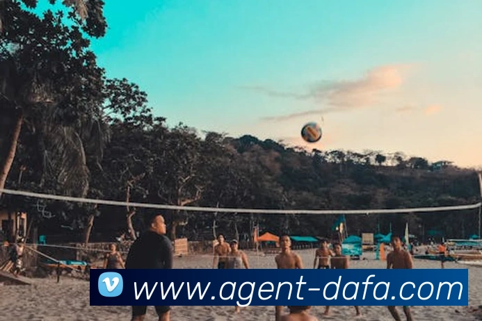 大发彩票全站App 大发彩票全站App